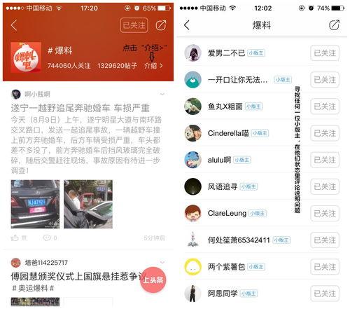 头条最新爆料怎么找,头条最新爆料背后的真相与影响