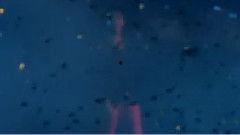 海洋最新爆料视频下载,最新海洋爆料视频深度解析