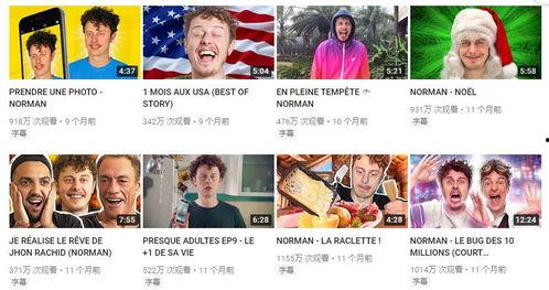 海豚湾博主爆料了吗视频,揭秘真实“海豚湾”背后惊人内幕 第3张 海豚湾博主爆料了吗视频,揭秘真实“海豚湾”背后惊人内幕 第3张